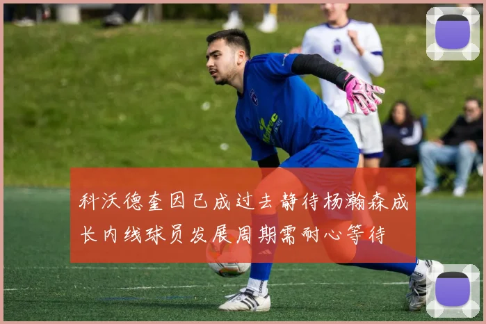 科沃德奎因已成过去静待杨瀚森成长内线球员发展周期需耐心等待